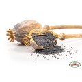 Mak Niebieski Ziarno 250g - Targroch