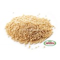 Amarantus Ziarno 500g - Targroch