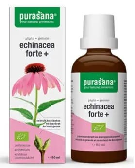 Echinacea Forte Jeżówka Purpurowa Krople BIO 50ml - Purasana