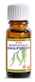 Olejek Eteryczny Eukaliptusowy 10ml - Etja