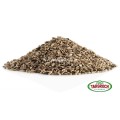 Ostropest Plamisty Ziarno 500g - Targroch