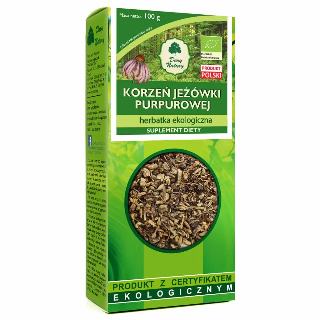 jezowka-purpurowa-korzzen-sypana.webp