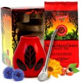 pol_pm_Oryginalny-zestaw-prezentowy-do-yerba-mate-z-Mate-Green-Mas-Energia-Guarana-400g-Akcesoria-18894_1.jpg