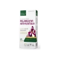Pelargonia Afrykańska 450 mg 60 kapsułek - Medica Herbs