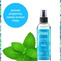 Płyn do Mycia Ekranów Miętowy 200 ml - Zielko