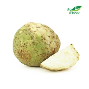 Seler Korzeń Ekologiczny BIO 1kg - Bio Planet