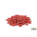 Jagody Goji Suszone 500g - Targroch